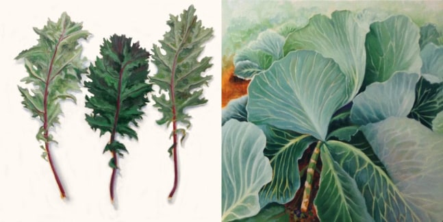 Barbara Sosson, Kale &amp; Cabbage Patch  30&quot; x 60&quot;  Oil On Canvas