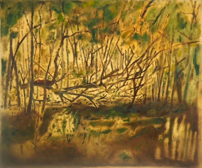 Henry Murphy,  Bartram's Tree Study​​​​​​​  20&quot; x 24&quot;  Oil On Canvas