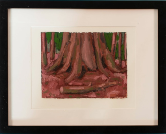 Sequoia Study #3, Oil on Paper, 6 x 8 inches