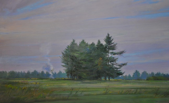 Pines In A Field  32&quot; x 52&quot;  Oil On Linen