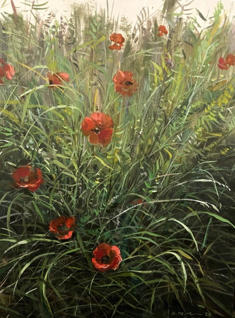 Poppies III  16&quot; x 12&quot;  Oil On Wood