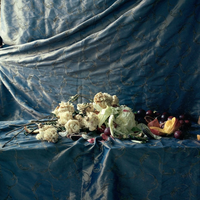 Brocade, Cabbage, Peonies, And Mango  34 x 34” Image on 40 x 40” Paper / Edition of 5  Archival Pigment Prints