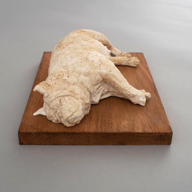 Varvàra Fern, The Sleeping Bulldog  4&quot; x 9.5&quot; x 7.5&quot;  Plaster, Wood