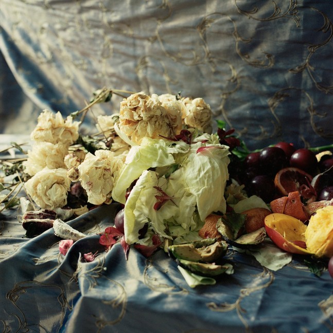 Brocade, Cabbage, Peonies, And Mango, Close  34&quot; x 34&quot; Image On 40&quot; x 40&quot; Paper,  Signed Archival Pigment Prints  Edition of 5