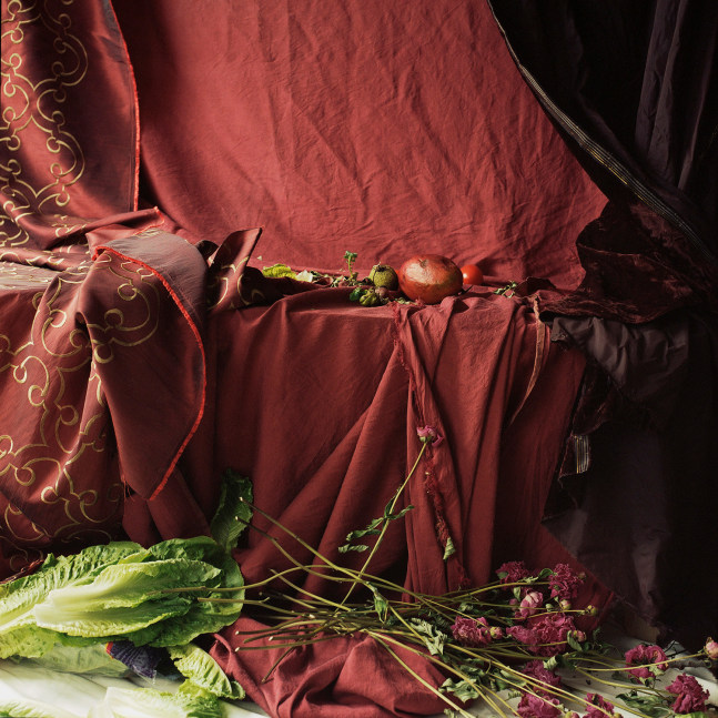 Mango, Lettuce, Red Brocade  34&quot; x 34&quot; Image On 40&quot; x 40&quot; Paper  Signed Archival Pigment Print  Edition of 5