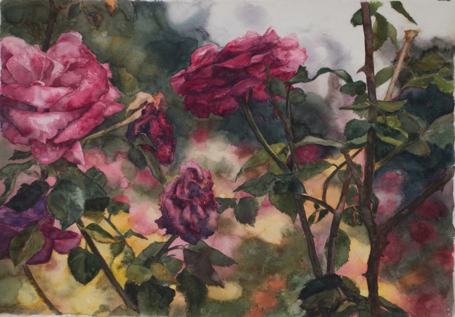 Roses In Front  30&quot; x 29&quot;  Watercolor