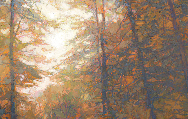 Forest In Misty Light  14&quot; x 22&quot;  Oil On Belgian Linen
