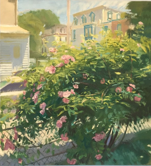 Roses On Pensdale  30&quot; x 28&quot;  Oil On Linen