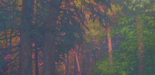GH Old Growth  36&quot; x 74&quot;  Oil On Belgian Linen