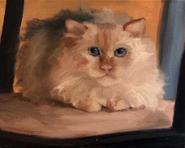 Fluffy  8&quot; x 10&quot;  Oil On Canvas
