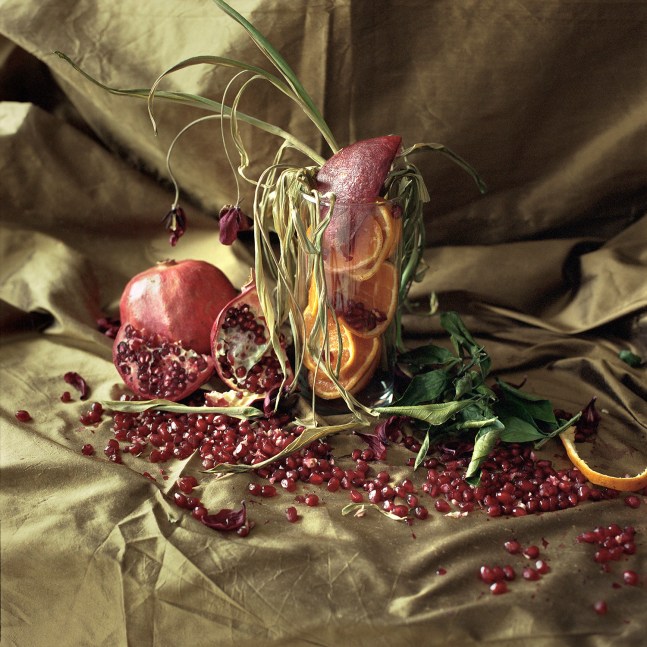 Pomegranate, Orange, And Tangerine Leaves, I  34&quot; x 34&quot; Image On 40&quot; x 40&quot; Paper  Signed Archival Pigment Prints  Edition of 5