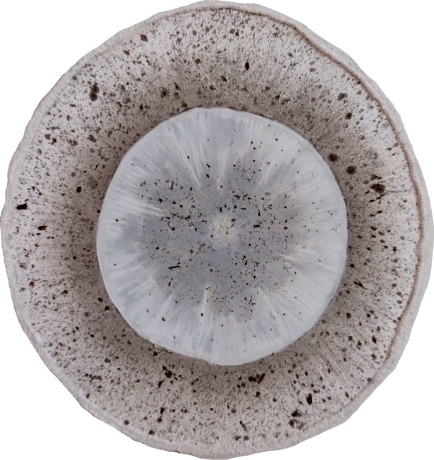 Frosted Specimen  6” Diameter  Plaster Monotype With Charcoal, Pigment And Sand