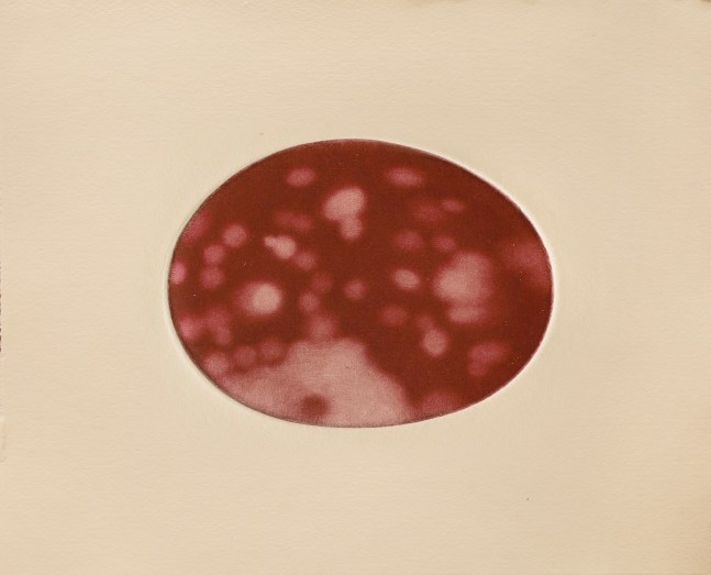 Olivia  7&quot; x 9&quot;  Mezzotint