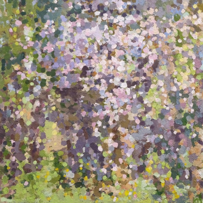 April Forest  30&quot; x 30&quot;  Oil On Canvas