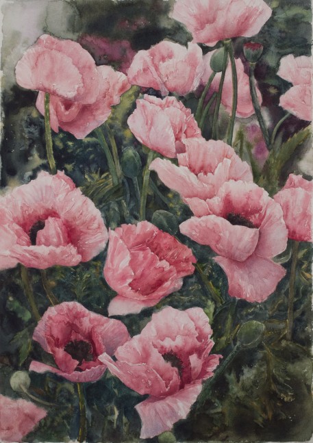 Eileen Goodman, Oriental Poppies 29&quot; x 20&quot;  Watercolor
