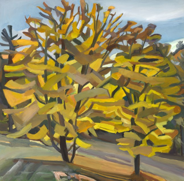 Two Trees - Yellow  40&quot; x 40&quot;  Oil On Canvas