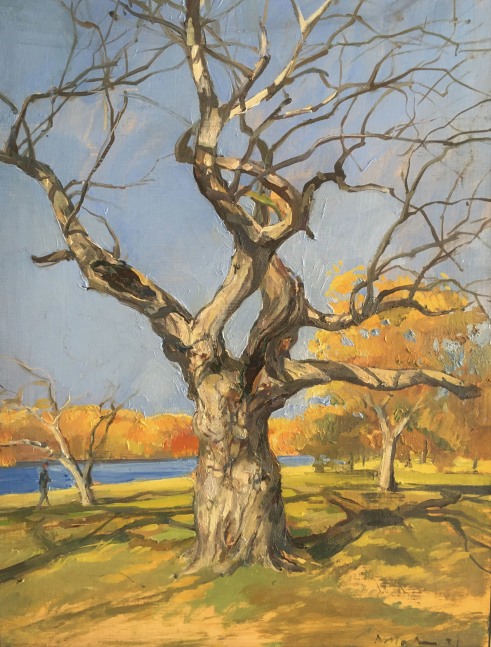 Fall Kelly Drive 2  16&quot; x 12&quot;  Oil On Wood