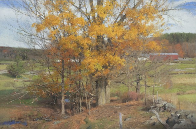Big Oak, October  24&quot; x 36.5&quot;  Oil On Canvas
