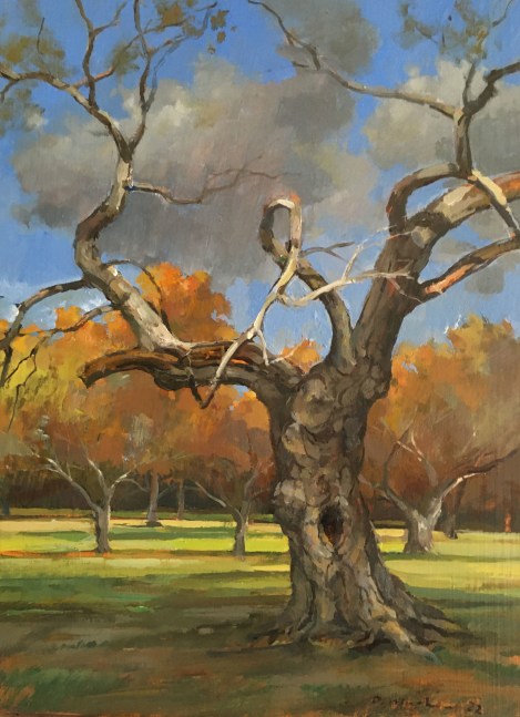 Fall Kelly Drive 3  16&quot; x 12&quot;  Oil On Wood