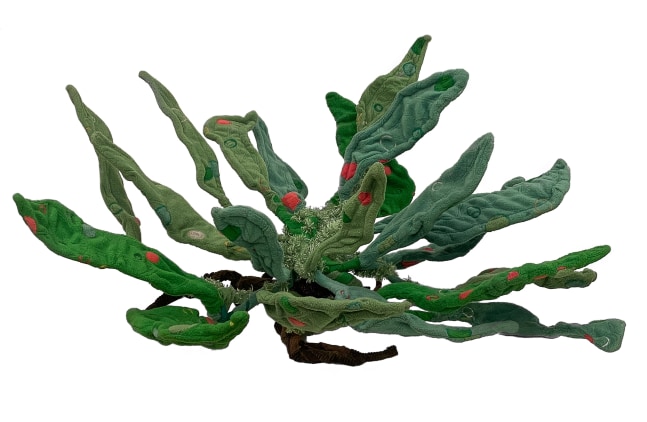 Melanie Fischer, Aquatic Plant   32″ x 47″ x 44″  Embroidered And Applique Sewn Fabric Over Wire And Wood