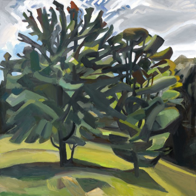 Two Trees - Green  40&quot; x 40&quot;  Oil On Canvas