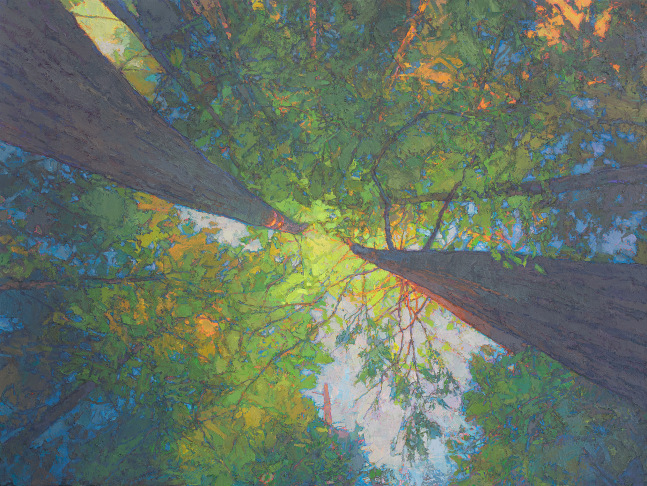 Straight Up  30&quot; x 40&quot;  Oil On Belgian Linen