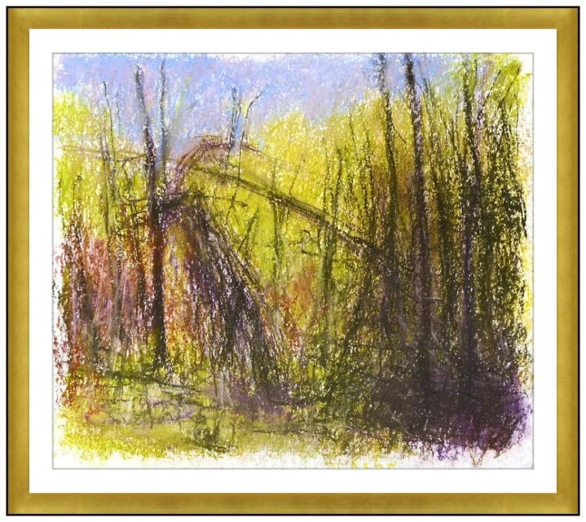 Tangle Behind Cow Pasture

Pastel on paper

14 x 17