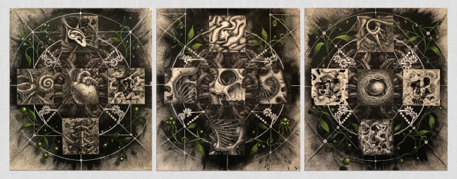Samuel Gomez, Renascence (Tryptic), 2018, Graphite, ink and acrylic on paper.  29 x 66 inches, 29 x 22 inches (each panel)