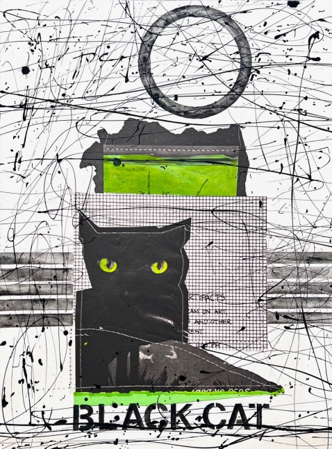 GoldManolis

Black Cat, 2024

3 Available Sizes

Mixed-media on canvas

Purchase