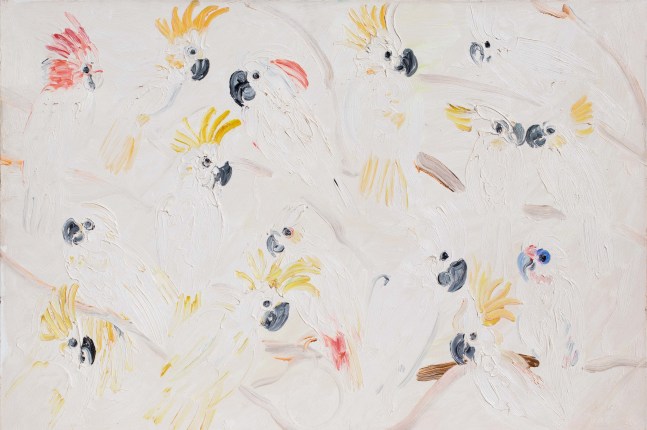 Hunt Slonem, cockatoos, 1991, Oil painting on canvas, 44 x 66 inches, Large scale painting, hunt slonem bird paintings, Hunt Slonem art for sale