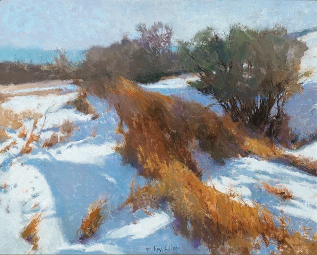 Snow Banks and Buckbrush,&amp;nbsp;2015
Oil on canvas
16 x 20 inches
AVAILABLE