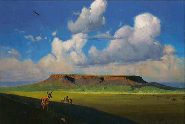Fort Mountain - Video