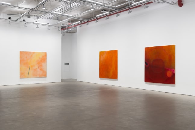 Iria Leino: 1968–1970 (installation view)