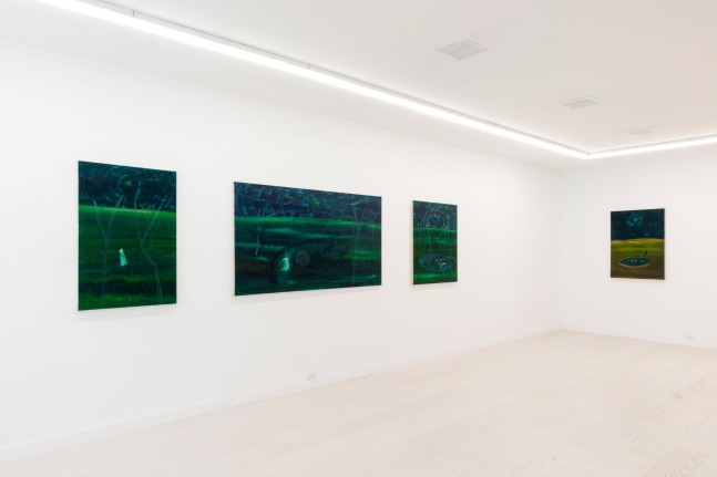 Ish Lipman: Things Behind the Sun (installation view)