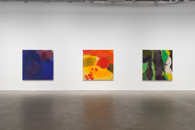 Iria Leino: In Two Parts—The Colorfield Series (installation view)