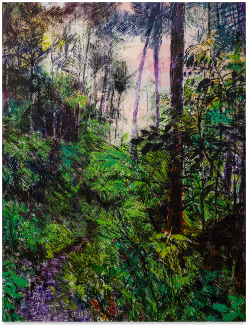 Enoc Perez, El Yunque National Forest, Puerto Rico, 2023