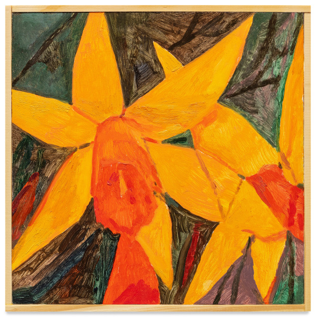 Ellen Siebers,  Tangerine Narcissus, 2021
