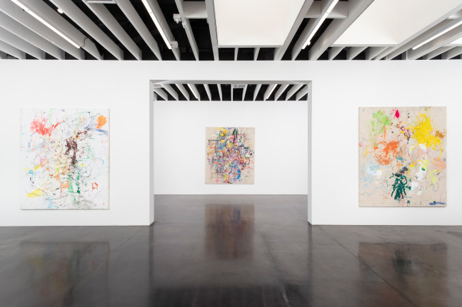 Dan Flanagan: Ash of a Flame That Burns Well (installation view)