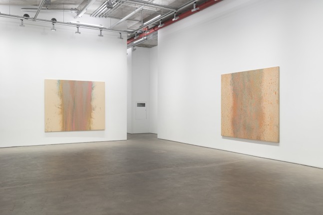 Iria Leino: In Two Parts—The Suomen Suo Series (installation view)