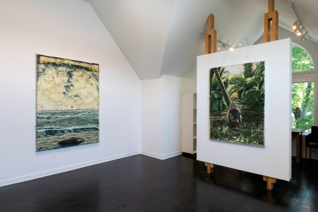 Ho Jae Kim: Castaway (installation view)