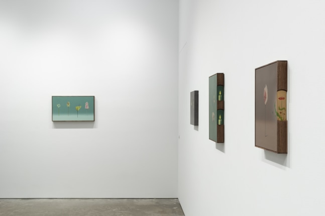 Dabin Ahn: Good Things Take Time (installation view)