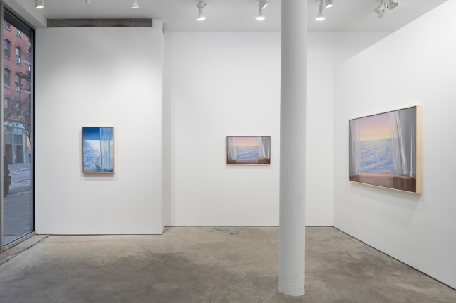 Alice Dalton Brown: The Contemplative View (installation view)