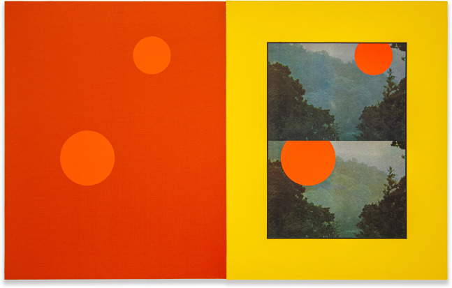 Matthew&amp;nbsp;King
#393
2020
Diptych; acrylic and paper on aluminum
20&amp;nbsp;x 32 in