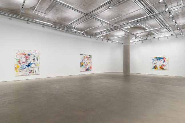 Dan Flanagan: Nora (installation view)