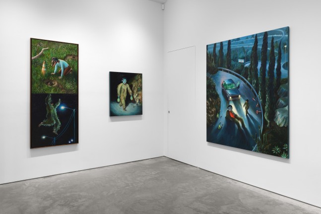 Shyama Golden: In My Mind, Out My Mind (installation view)