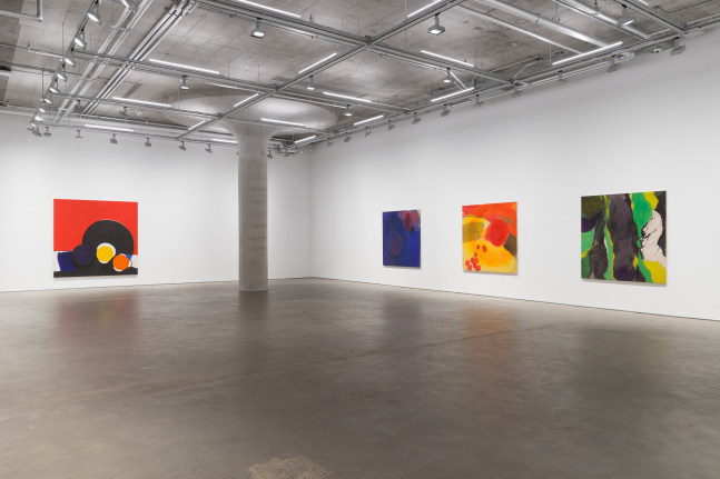 Iria Leino: In Two Parts—The Colorfield Series (installation view)