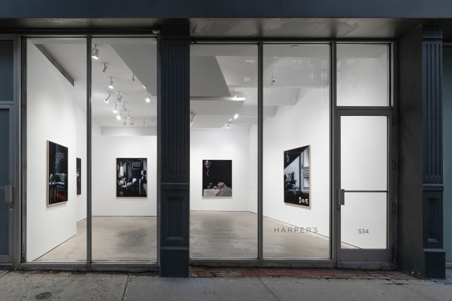 Laure Mary: Being Normal Is Really Not Normal (installation view)