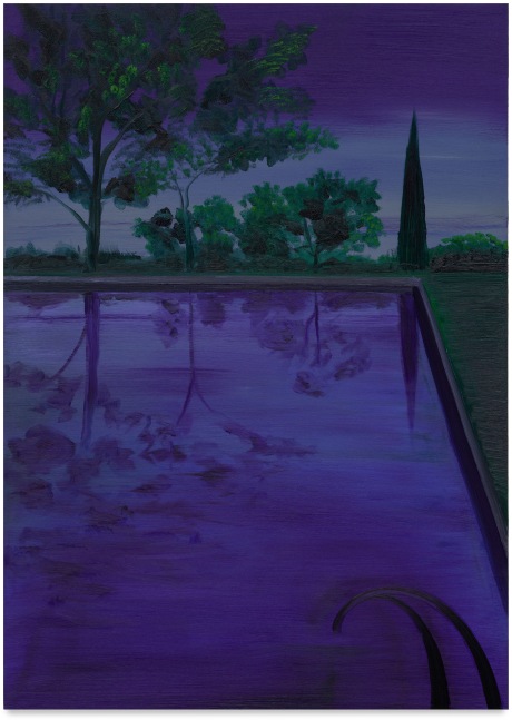 Salomón Huerta, Untitled (Pool), 2025