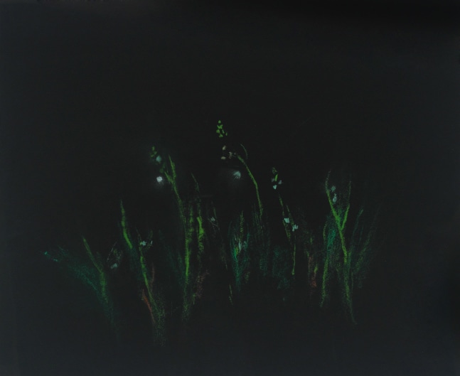 Loren MacIver, Lilies of the Valley I, 1955, pastel on black paper, 15 3/4 x 19 1/4 inches