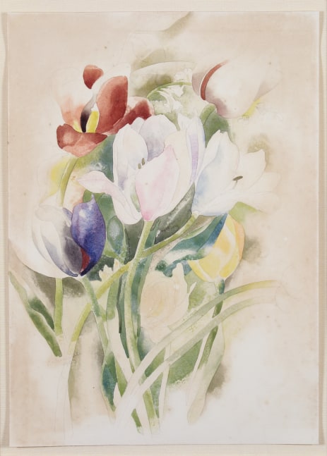 Charles Demuth,&amp;nbsp;Tulips, 1923,&amp;nbsp;watercolor and graphite on paper 13 7/8 x 9 7/8 inches

Available